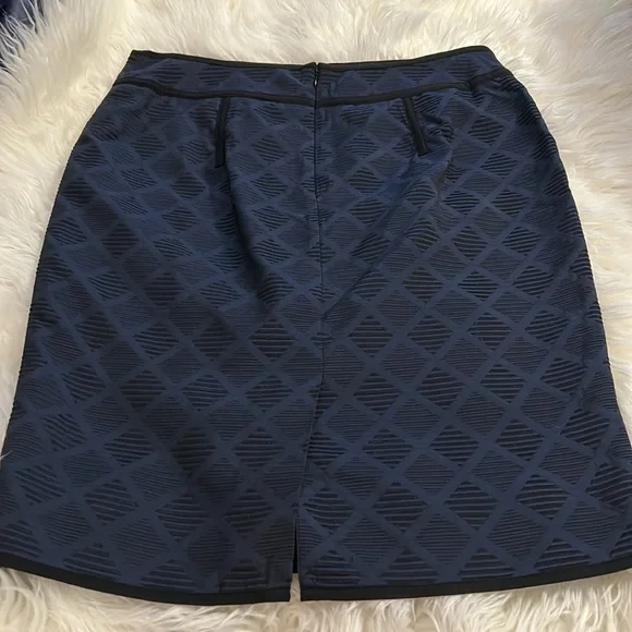 🌸NWOT Gorgeous Ann Taylor Skirt Navy with Black Size 10 Never Worn - Picture 2 of 9